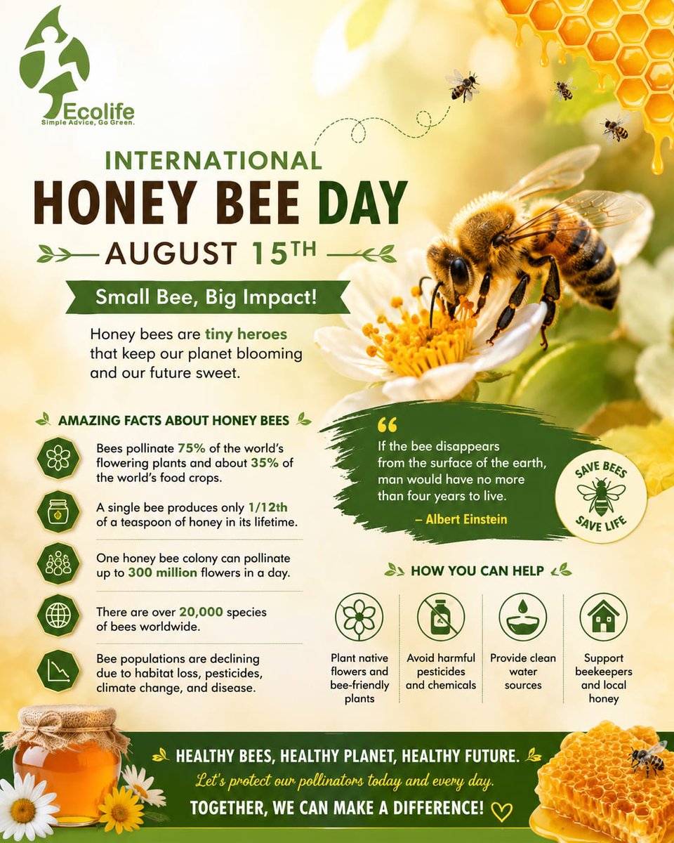 Ecolifellc's tweet photo. Tiny wings, mighty purpose — when bees thrive, life blooms. A world without bees would lose its sweetness — let’s keep it blooming.
🌼🐝 #savethebees #ecolife #honeybeeday #sustainableplanet #beekind🐝 #ɴᴀᴛᴜʀᴇʟᴏᴠᴇʀs #compost #compostable #biodegradable https://t.co/j5uhWOXm1S