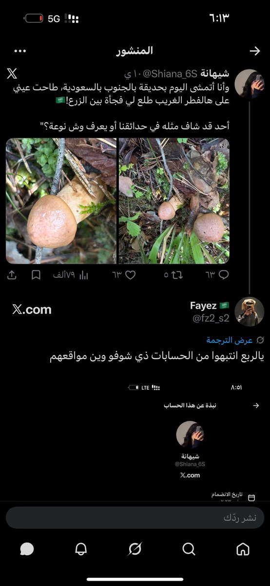 fz2_s2's tweet photo. @RDNT0 نفس السالفه كلها حسابات تتكلم بلسان السعودين والله اعلم ان الي تدير هذي الحسابات الامارات https://t.co/Q3qrNmBFdb