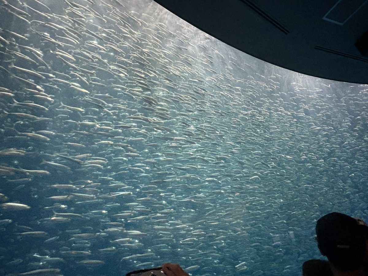 syu1192_'s tweet photo. 夜の名古屋港水族館は神
イルカショーも最高だった！ https://t.co/9y4jmMVOTV