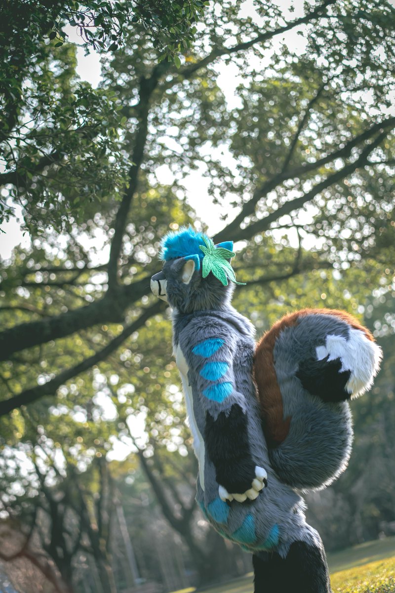 MountainPineTW's tweet photo. 📷: @daisukechen_tw

✂️: @kigurumikagetsu

#FursuitFriday #MountainPineTW https://t.co/o6ReHisw5m