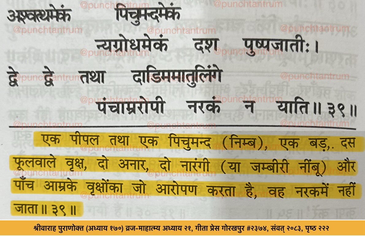 PunchTantrum's tweet photo. सात प्रकार के कुल २२ वृक्ष लगाने वाला नरक में नहीं जाता।

Person who plants a total of 22 trees of seven varieties in his lifetime does not go to hell. https://t.co/y12aCDx3VK