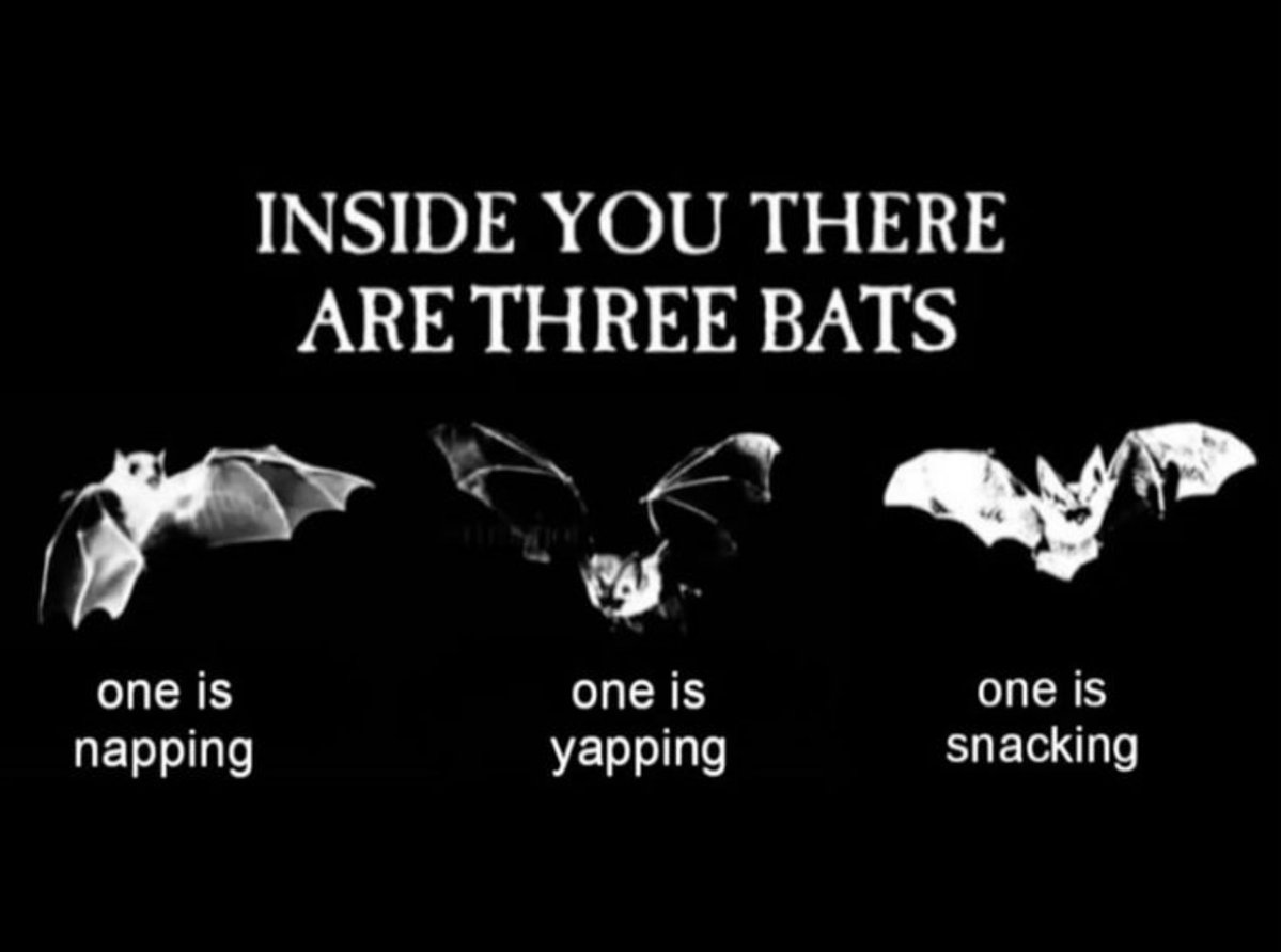 batincrisis's tweet photo. Inside you there are 3 bats!! https://t.co/VnLaNz5DJI