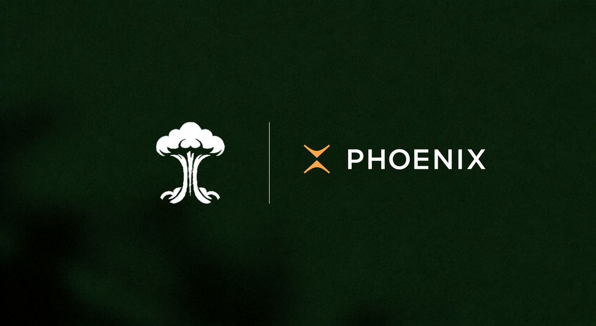 nuketrade's tweet photo. Idle stables have traditionally gone into lending for yield.

But perpetual markets create another source: funding.

Nuke turns funding into delta-neutral yield, without taking directional exposure.

Today, we’re excited to partner with @PhoenixTrade , bringing Phoenix markets into Nuke’s execution layer.

We’re building the yield layer for perpetual markets.