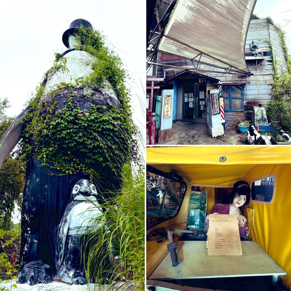 TOXIC_TOAD_OOZE's tweet photo. と、いうわけで突然の閉館発表で23年の長い歴史に惜しくも幕を閉じる「怪しい少年少女博物館」に弾丸日帰りで行って来ました！
唯一無二の圧倒的スペクタクル。俺の一番思い入れのある博物館。この空間が存在するのは9月27日まで！未体験の方に万難を排して勧めたい。都内から意外と安く早く行けるし。 https://t.co/VKAxsPHHgS