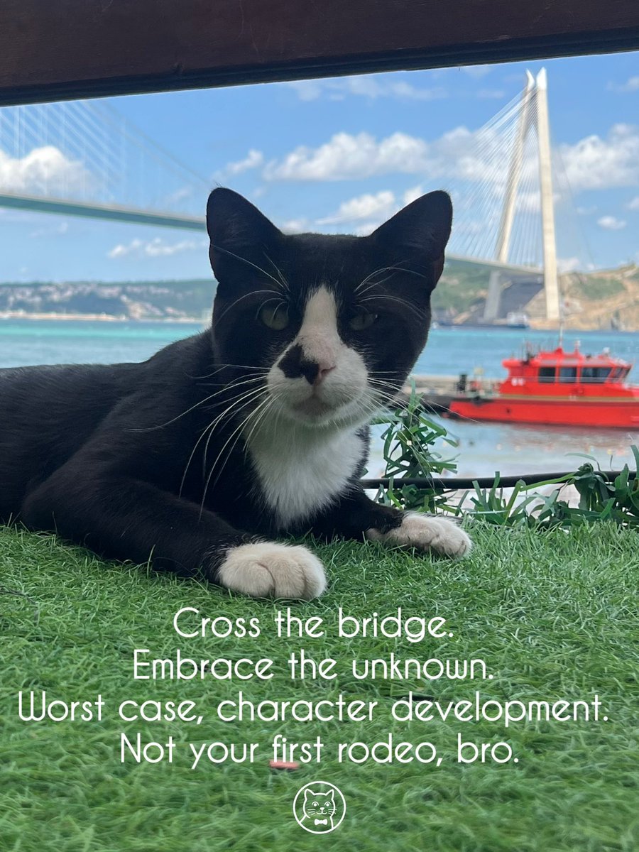 cat_attache's tweet photo. Cross the bridge. 
Embrace the unknown. 
Worst case, character development. 
Not your first rodeo, bro.
#cat #attache #bridge #photo https://t.co/RfaD8wrhPd