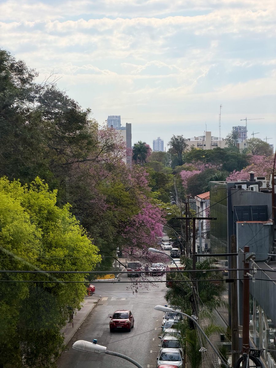 recouso's tweet photo. Paraguay is hell of an underrated safe haven 🇵🇾 https://t.co/uBf5sJrQHJ
