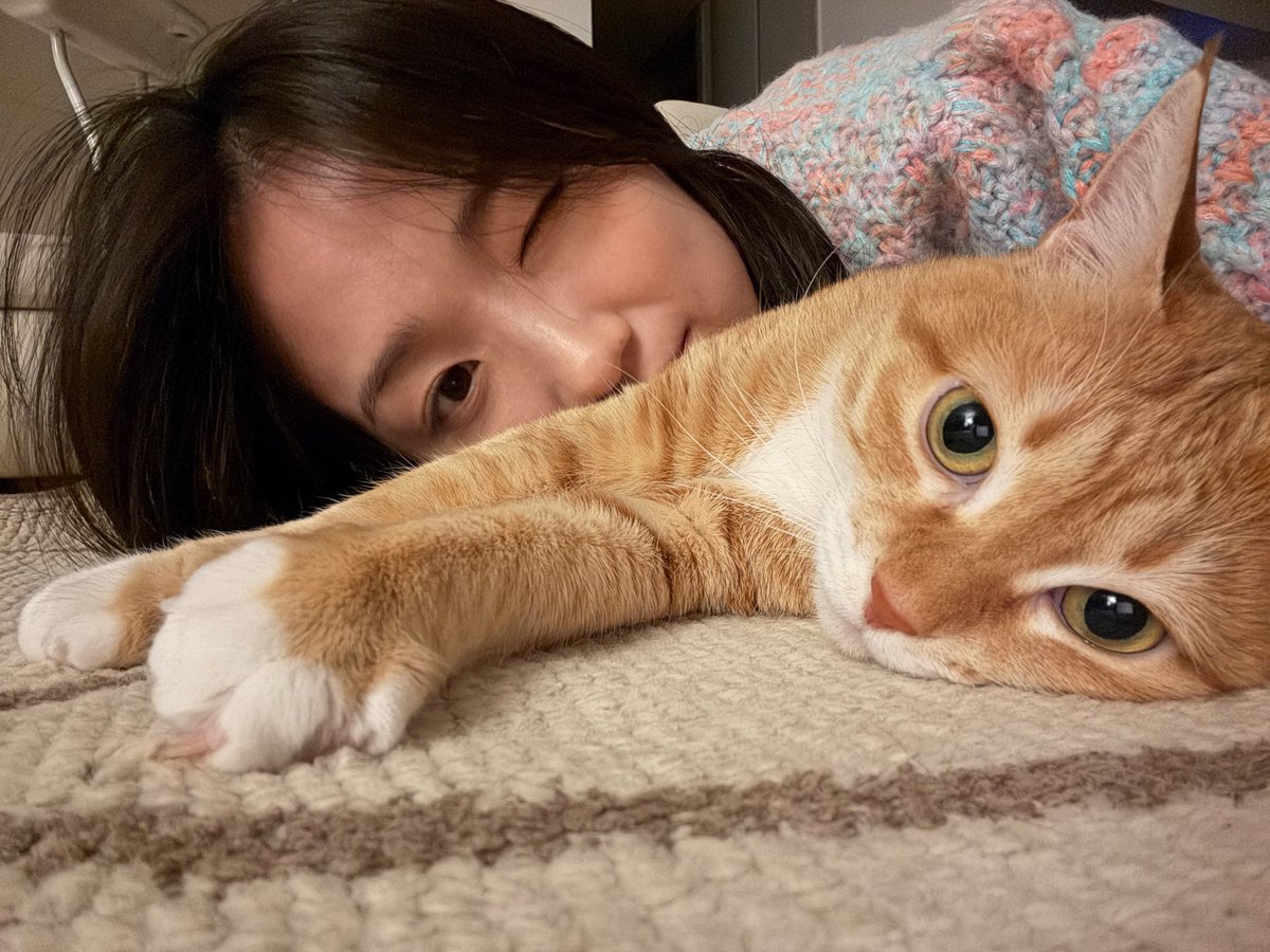 lilymelodies's tweet photo. 김홍시 생축!!! 🐈🐾🥳 https://t.co/dkVHZU7ylO
