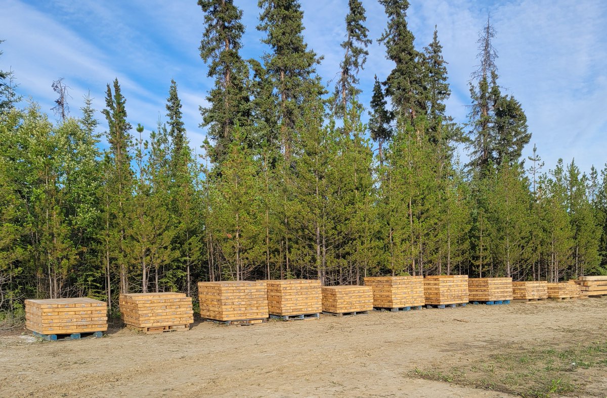 TrailbreakerLtd's tweet photo. Drill core from both the Highlands and Swan zones is now logged, cut, bagged, and on its way to the lab. Every meter tells part of the story — and we can't wait to see how it unfolds.
Assay results are the next chapter. Stay tuned.
#Atsutla #Exploration #JuniorMining #TBK $TBK.V https://t.co/4tq5u3k0BY