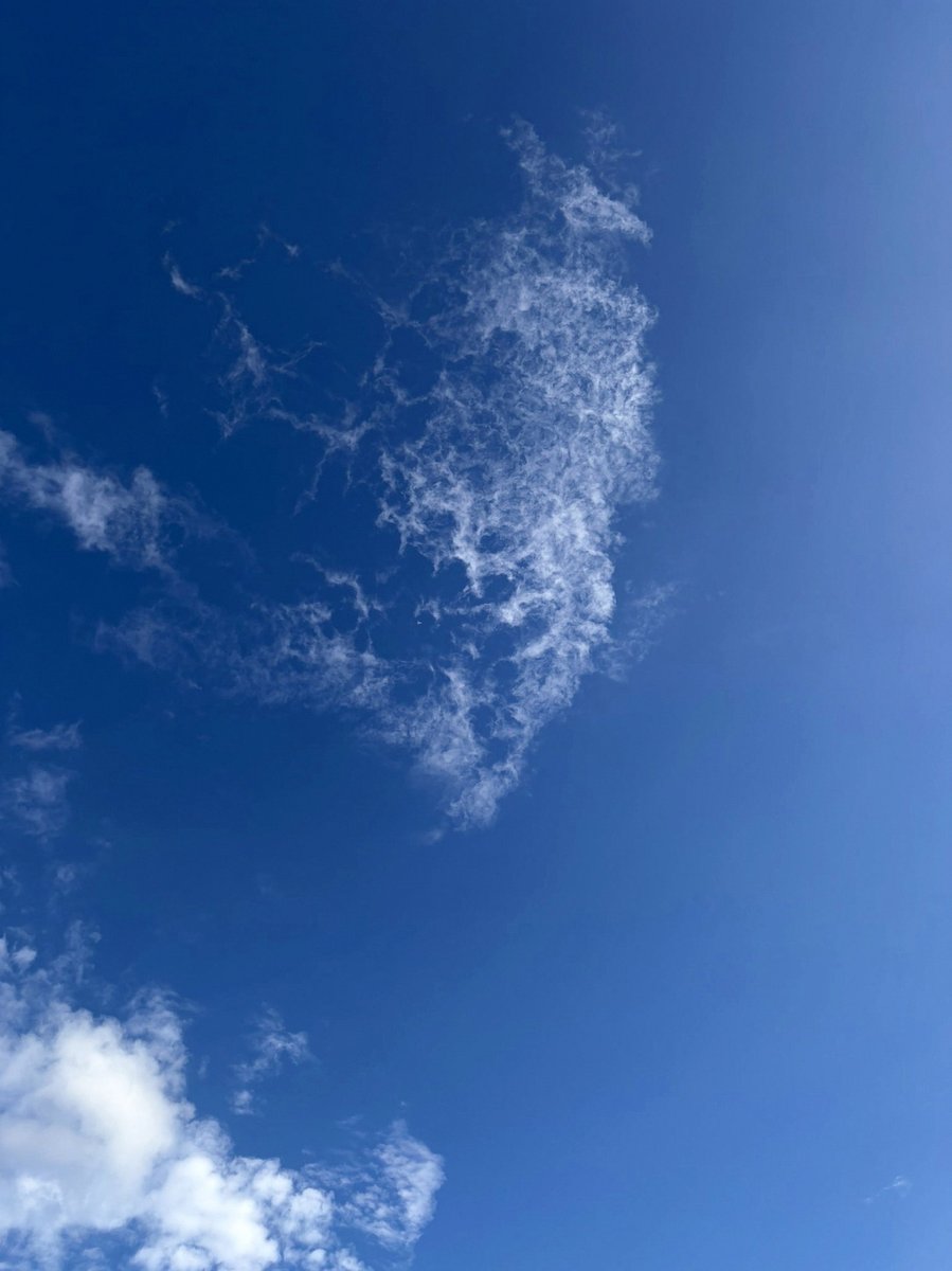 amaliasugianto's tweet photo. 深夜飯の漢飯ってうめぇ
クックパッドで色々探してるけどオリジナルのやつとかの方が美味いよなあ https://t.co/LSa6XYD66V
