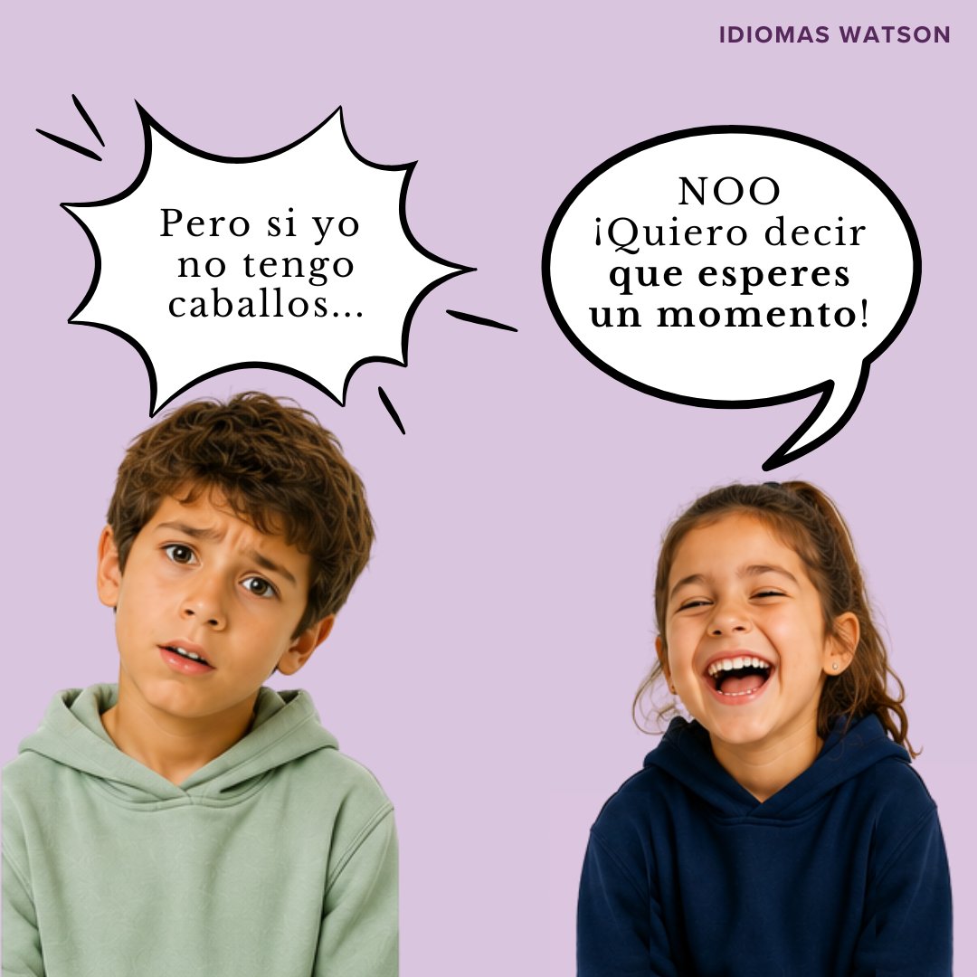 idiomaswatson's tweet photo. 🐴 Si alguien te dice "Hold your horses!"... no hace falta que busques caballos. 😂

En realidad significa algo como:
⏳ ¡Espera un momento!
✋ ¡No tengas tanta prisa!
😌 ¡Tranquilo! https://t.co/6dQxgevZdT