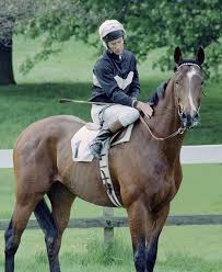 MikeWass2's tweet photo. OTD 1982 Lester Piggott rode his 4,000th domestic winner when the talented Ardross, trained by Henry Cecil &amp; owned by Charles St George, won the Geoffrey Freer Stakes at Newbury. 
🔴On the 20th August 1949 the 13-year-old Lester rode his first Newbury winner.🏇🌟#RacingMemories https://t.co/RkJy11OzRr