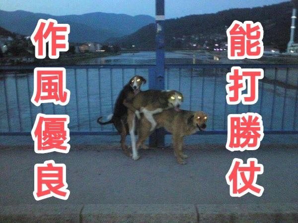 OnlyEres's tweet photo. @QuanLujun 共匪的G點不可勝數，不小心一碰就高潮噴射 https://t.co/S8rCEmxe8Z