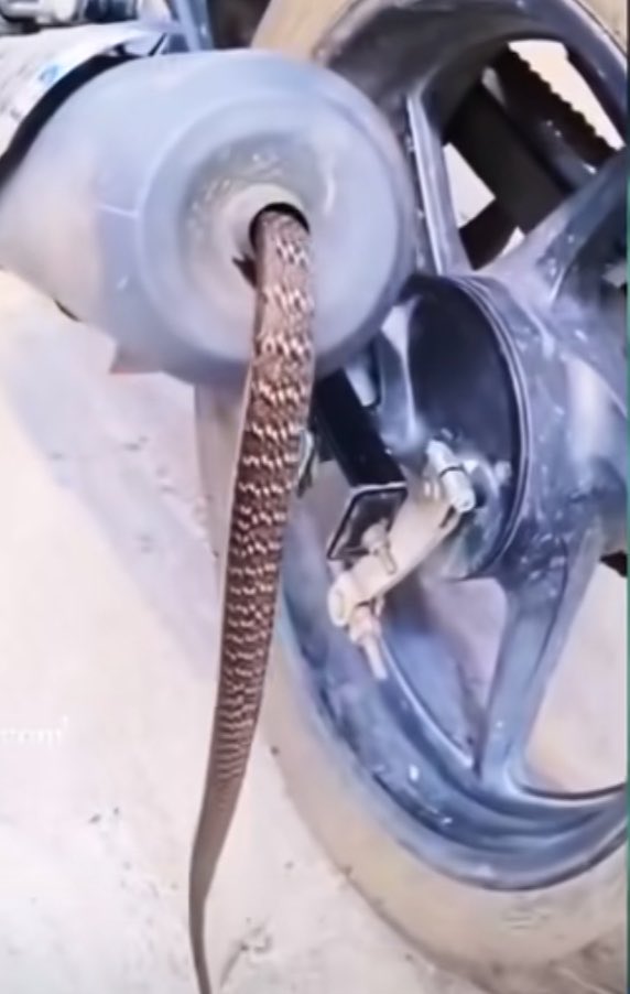sammie_boi20's tweet photo. If this is your bike what will you do? https://t.co/biRvyS4K26