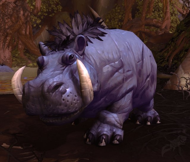 TandridM's tweet photo. @zeodeon I remember in BFA I tamed one of those hippo beasts on my dwarf hunter. That thing took up the whole screen for a few days lol https://t.co/DouwCgXRJV