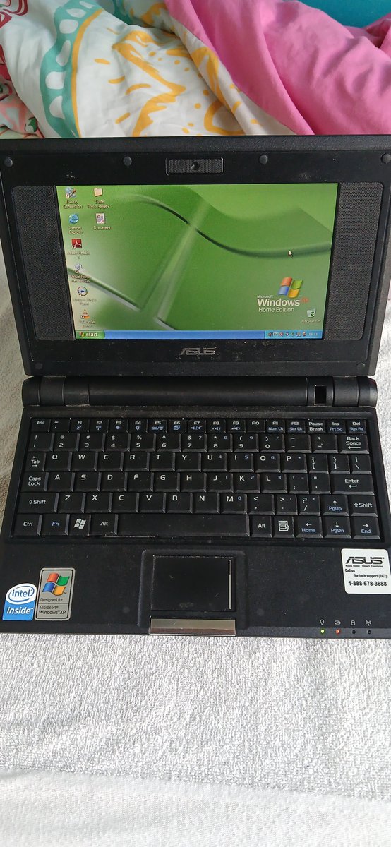 fluffernet's tweet photo. Cute little eepc I got for 3.99

Also gonna start back up using this account, now that my ex friend is gone, who despised anyone who used twitter https://t.co/gzOKyHqxmR