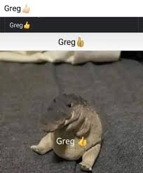 Perr0s_no's tweet photo. Greg 👍🏻 https://t.co/dzmROMtueL