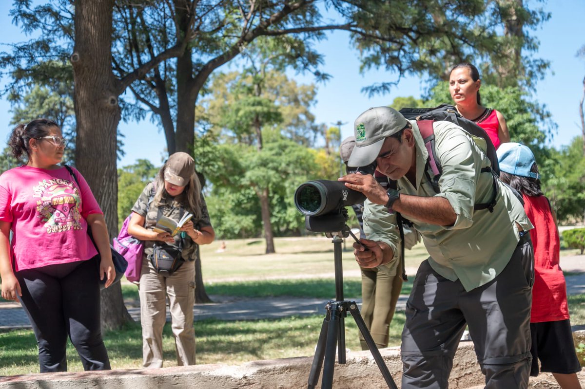 MuniCba's tweet photo. 🦅 ¡Vení a descubrir las aves del Río Suquía!

Este sábado a las 16:00 horas sumate a un paseo guiado por el biólogo Walter Cejas. Una caminata de una hora y media desde la Isla de los Patos hasta el Parque Las Heras-Elisa para conectar con la fauna de nuestra ciudad. 🌿📸

La actividad es libre y gratuita. ¡Traé calzado cómodo y vení a disfrutar al aire libre! 🙌🏼

Más info 📲 https://t.co/AY49xlqhRk