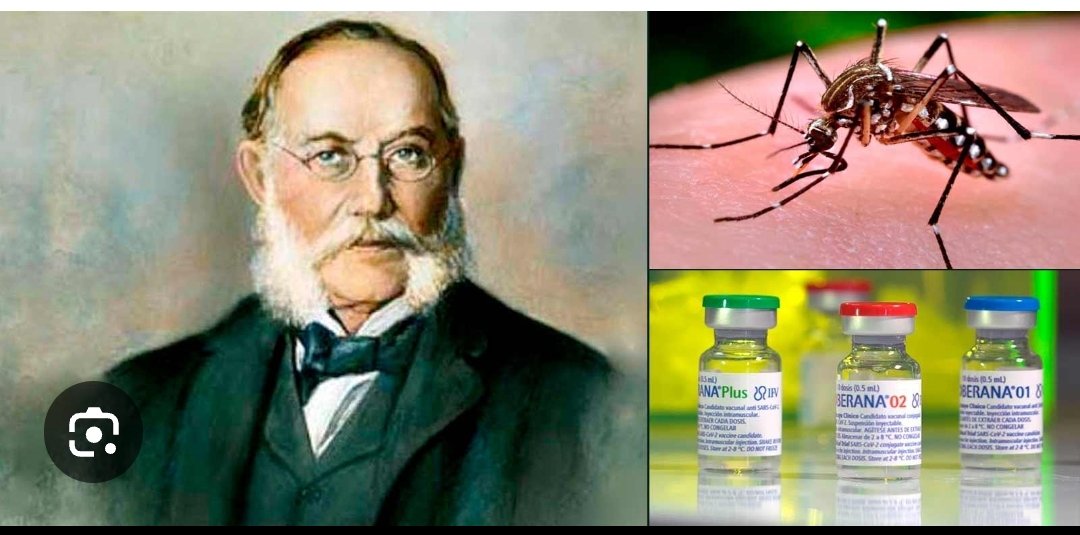 BMCMzZimpeto's tweet photo. 🔬Un 14 de agosto de 1881 🇨🇺
Carlos Finlay rompe paradigmas y demuestra que el mosquito Aedes aegypti transmite la fiebre amarilla. De las burlas al reconocimiento mundial.
Su descubrimiento salvó vidas y es base para combatir dengue y zika. ¡Orgullo de la ciencia cubana!❤️🇨🇺💯 https://t.co/jGQRhKuNcQ