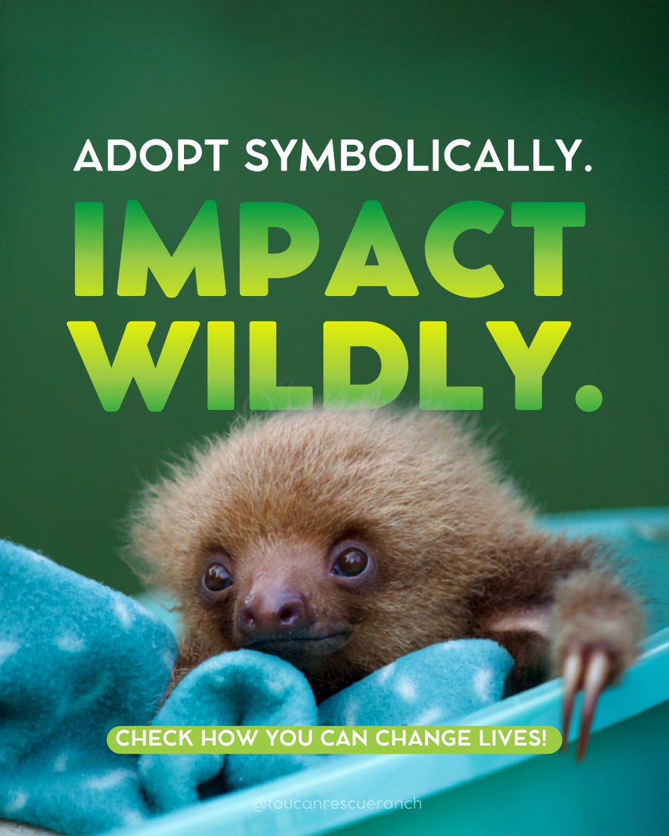 ToucanRescue's tweet photo. 🌱Support rescued wildlife at Toucan Rescue Ranch by symbolically adopting and aiding in their care, rehabilitation, and conservation. https://t.co/YzIYw9BO7W

⚠️ Note: Symbolic adoptions are donations, not ownership of animals. Your support helps our conservation efforts. https://t.co/fSbSwgJ77S