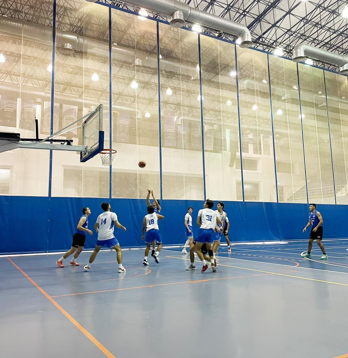 BorregosQRO's tweet photo. 🏀🔥 Borregos Querétaro fue anfitrión de un juego de preparación ante la UAQ, uno de nuestros próximos rivales en la Liga ABE Div. II.

Nuestro equipo continúa trabajando para el inicio de temporada en el mes de septiembre. 🐏💙💪🏀

#SomosBorregos #BorregosQRO #BorregosEnABE https://t.co/qjbn91Czfa