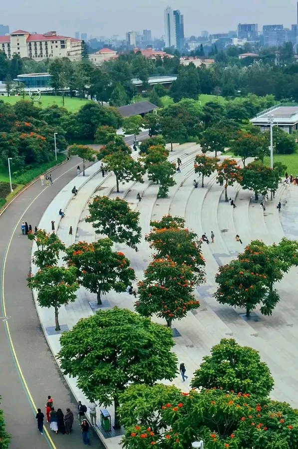 NigatuGalchu's tweet photo. Friendship Park — where nature, beauty, and peace come together in the heart of Addis Ababa Ethiopia. ❤️🇪🇹
Green Light Media https://t.co/qHQr9hs3iF