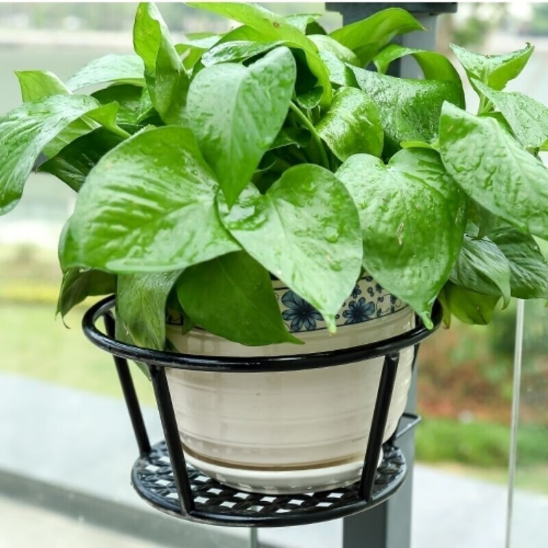 saowaphark3's tweet photo. My small balcony just got a hanging herb shelf today—growing basil and mint to replace store-bought herbs. Small home wins hit different! https://t.co/l0L3nBShPK
