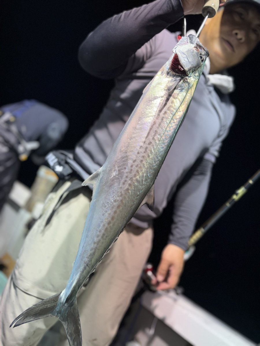 daieimaru_jr's tweet photo. お久し出船でした🌙

ジグでは1本
餌では3本と厳しい状況
キャッチ出来た方おめでとうございます㊗️

次回17日〜全日空席ありで御座います🙇‍♂️

#新潟東港
#第三大栄丸Jr
#ナイトサワラ https://t.co/sznBQqCs6U