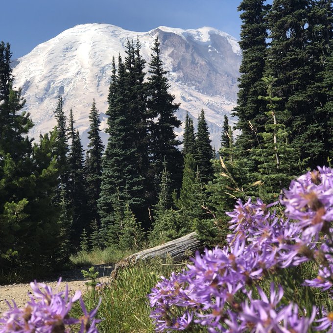 JayInslee's tweet photo. I want my grandchildren to have the same kind of experiences I had as a child—hearing the deep breathing of an Orca, seeing the beauty of a snowcapped Mt. Rainier, searching for crabs under rocks on the beach.

That’s what keeps me in this work.
https://t.co/1uCSa1XUUo https://t.co/RfBD0HQKgo