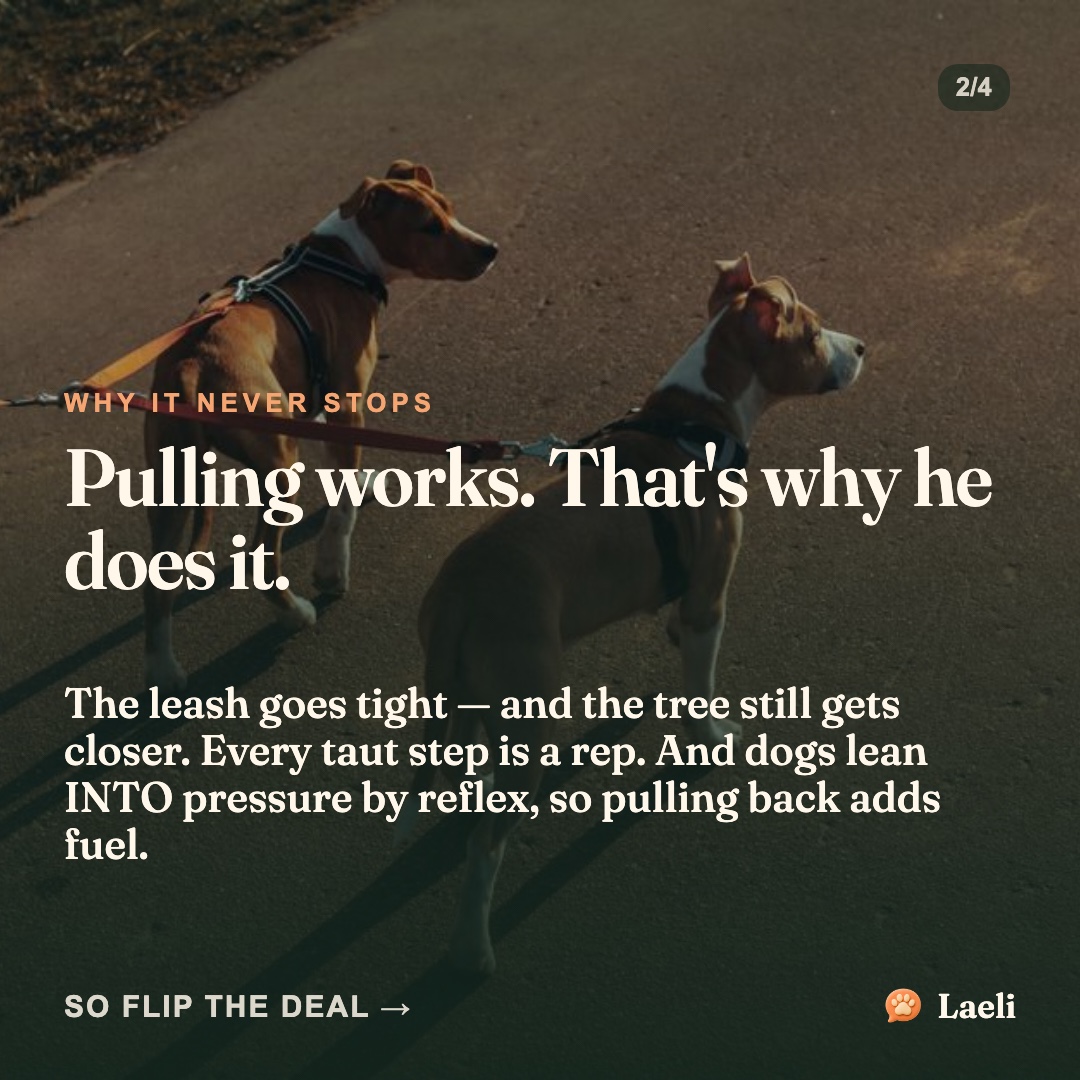 laeliapp's tweet photo. Somewhere along the way, walks became water-skiing.

The fix isn't a stronger arm — it's a better deal. https://t.co/FAtSmZf2Xf
