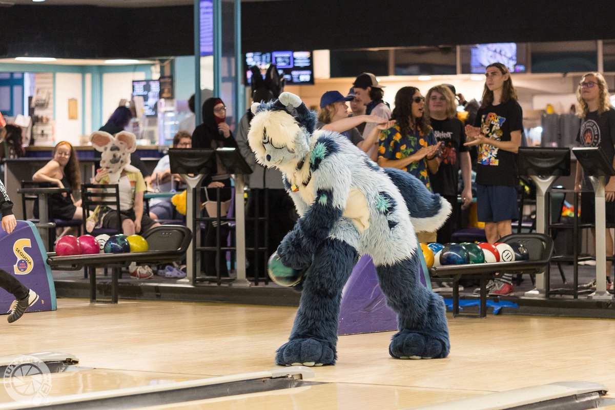 kohiwah's tweet photo. how's my form? (´ . .̫ . `)
happy #fursuitfriday ��💙 https://t.co/1smv2K6qbG