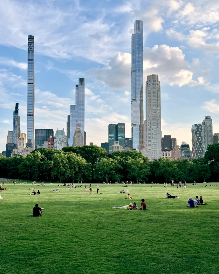 Mila1_vx's tweet photo. Central Park, New York | A healing green oasis in the city 🌿 https://t.co/Myg5pRa9mQ