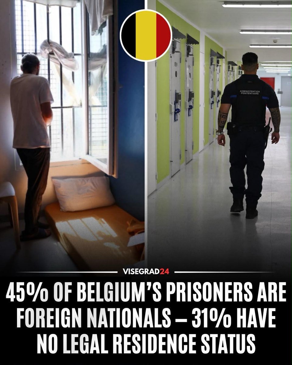 visegrad24's tweet photo. Belgium’s prisons held 13,439 inmates as of January 1, 2026. Of those, 6,100 were foreign nationals, roughly 45% of the entire prison population, and 4,198 prisoners had no legal residence permit in Belgium, equivalent to 31% of all inmates.

Moroccans are among the most represented foreign nationalities in Belgian prisons, alongside Algerians.