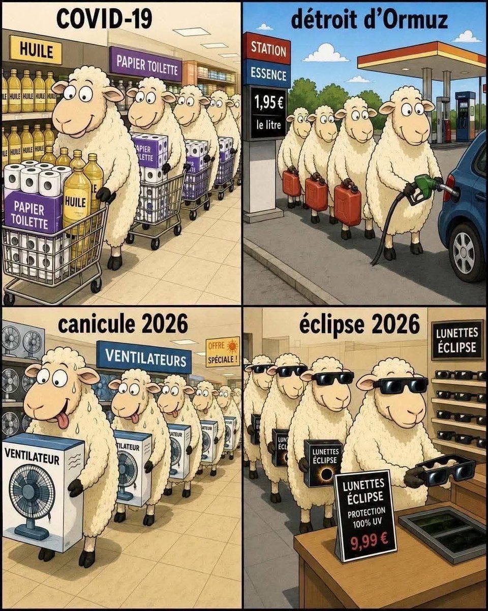 sthiry1's tweet photo. Et ce demeuré gauchiste reste un bon mouton https://t.co/YdjC0CFa1B