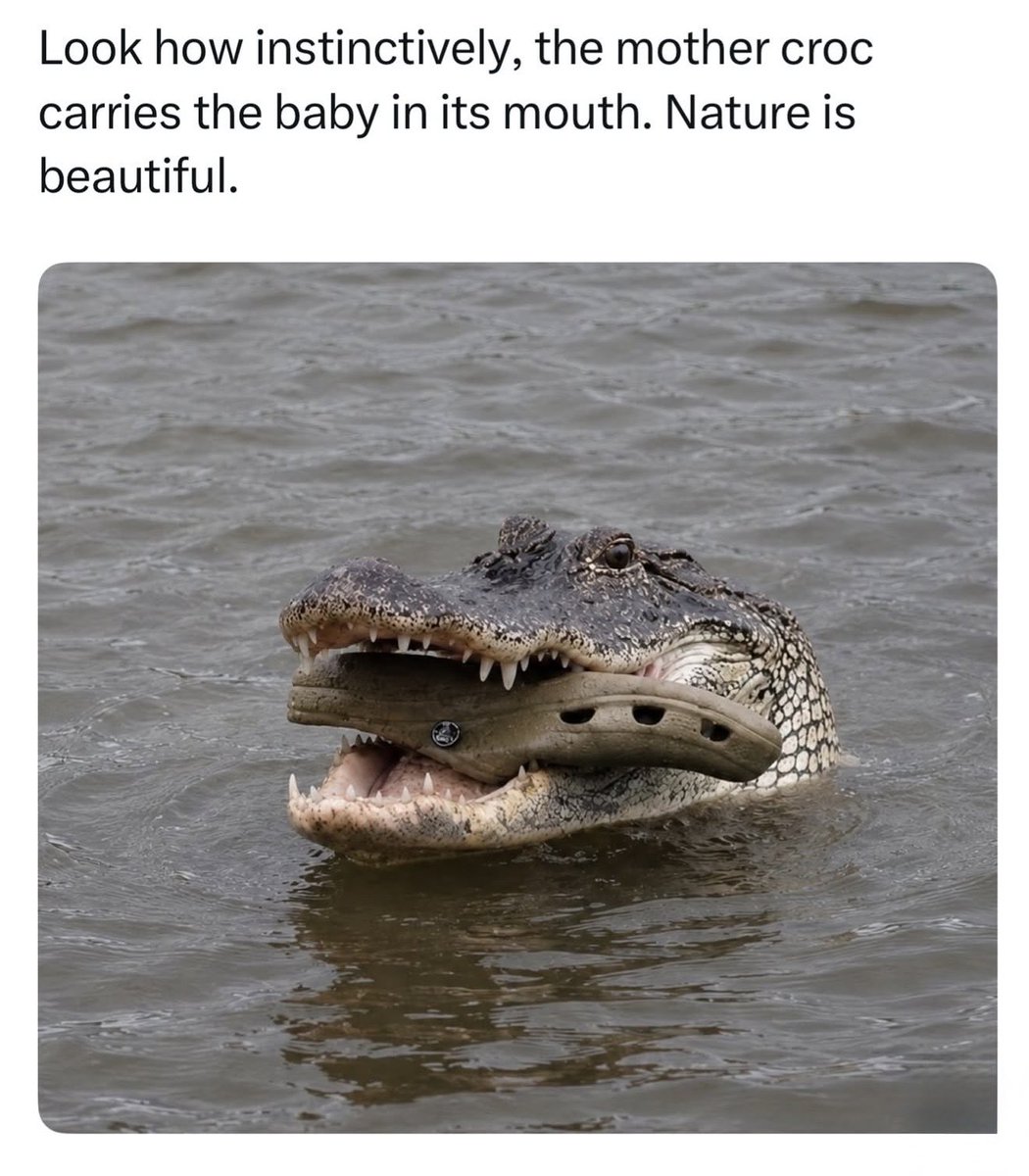 Dadsaysjokes's tweet photo. https://t.co/MxEze06cFq