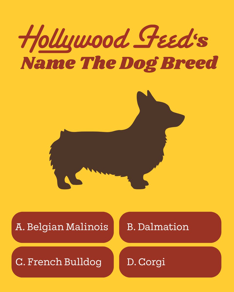 HWFeed's tweet photo. How well do you know your dog breeds? 🤔 Welcome back to our new series, "Hollywood Feed's Name the Dog Breed" where we will test your dog breed knowledge! Leave your answer in the comments below! 🐶 https://t.co/8LWAEISS0O