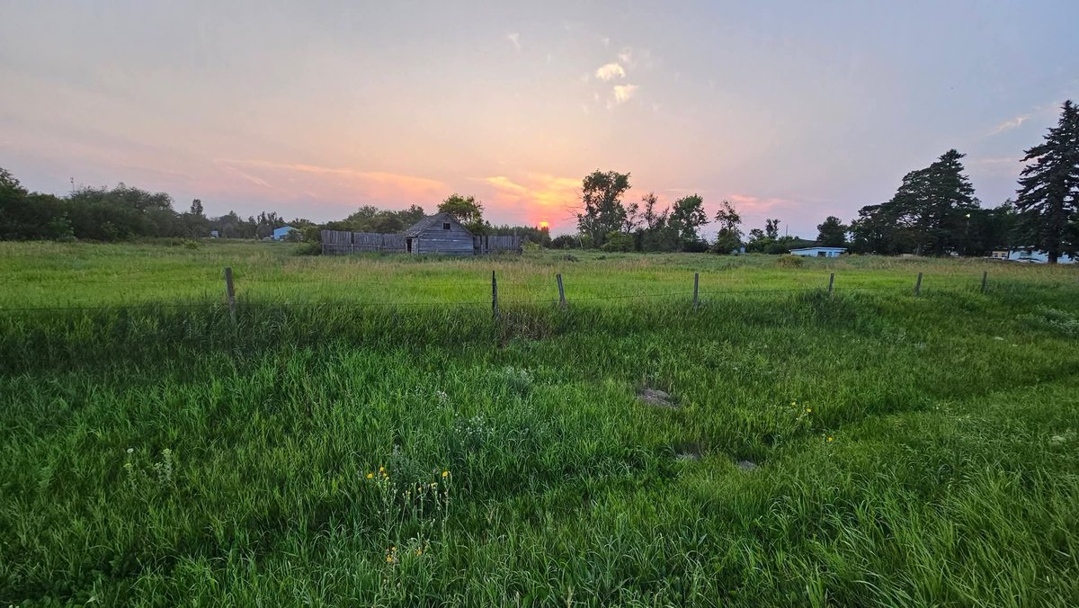 CochraneDjc's tweet photo. Fencepost  Friday https://t.co/wPDemAheAA