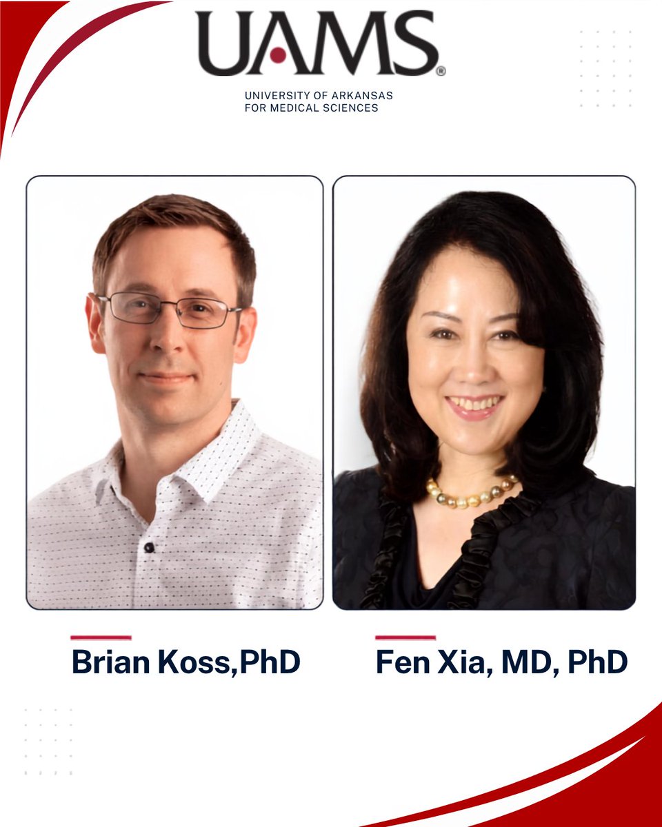 uamsresearch's tweet photo. UAMS Researchers in the News!
$3.1 million has been awarded to UAMS researchers Fen Xia, MD, PhD, and Brian Koss, PhD, to study how DNA repair mechanisms can strengthen the immune system’s fight against head and neck cancer. Read more: https://t.co/FcNFJ5tP0a https://t.co/8VOVIVIra3