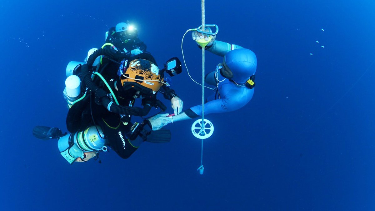 japplphysiol's tweet photo. #APSselect winner - Research Article by TKM Scott et al. (@AucklandUni @DANGlobalSafety) #Arterial #bloodgas changes in progressively deeper breath-hold dives
https://t.co/Jwm63mfliX https://t.co/2QIzHSSujn