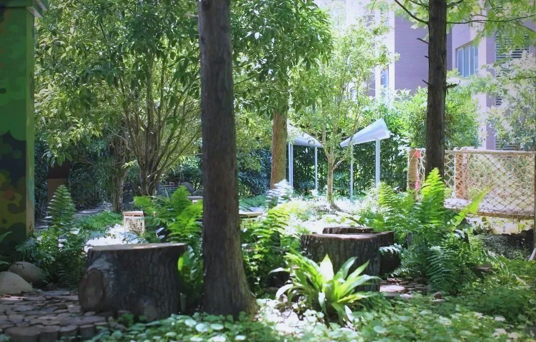 ClementNathan9's tweet photo. Join our weekend community garden clean-up this Saturday at 9 AM! Bring gloves u0026 enjoy free snacks while making our neighborhood greener. See you there!， https://t.co/jCc1MmMJMX