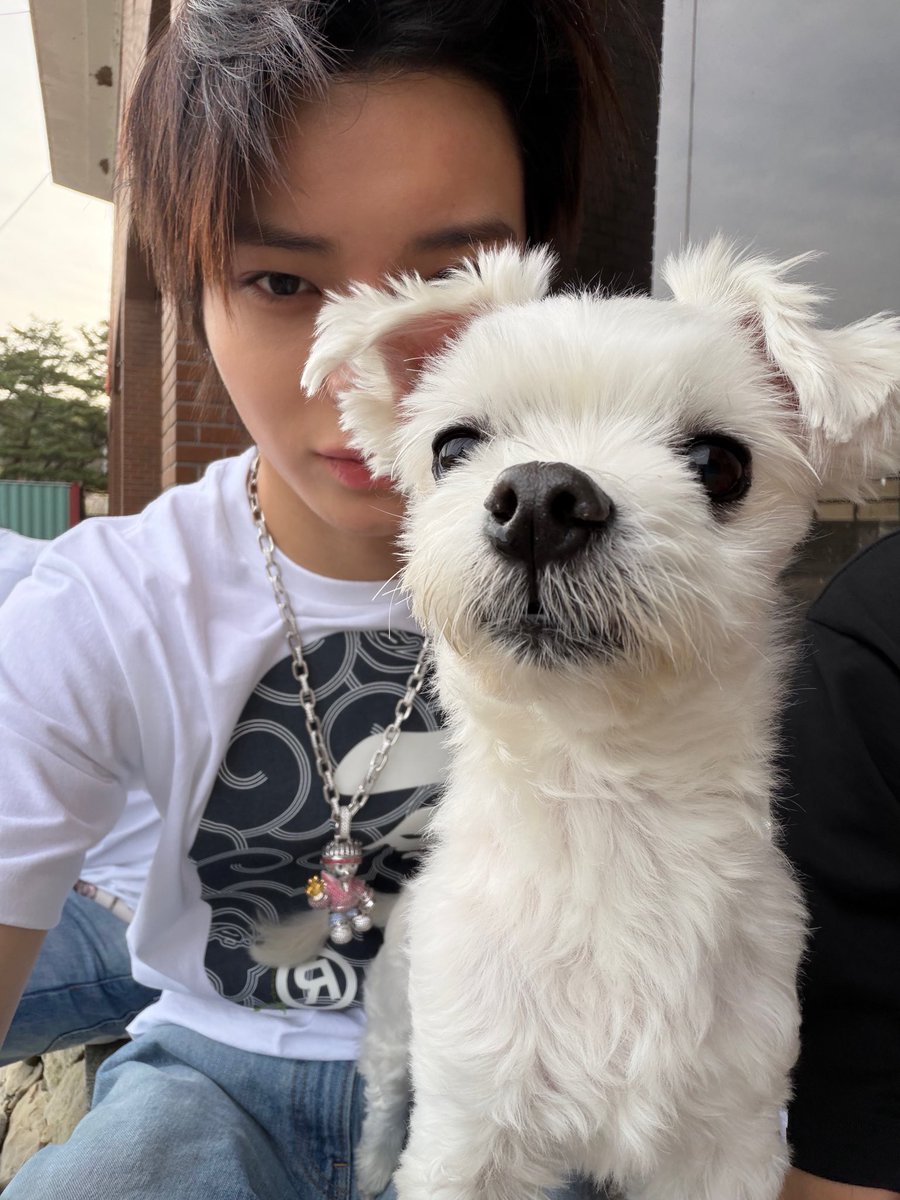 forlng25's tweet photo. 강아지🩷고양이   너무아랑스러운조합... https://t.co/dU20am1krU