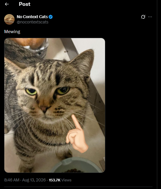 badredflagactor's tweet photo. this cat is going viral for literally looking like he's mewing

and the guy gave it a name "mewing"

we've ran a bunch of gigacat memes

now we got mewing

tweet: https://t.co/hc1PgjIVYl https://t.co/IC6oHFNJnT