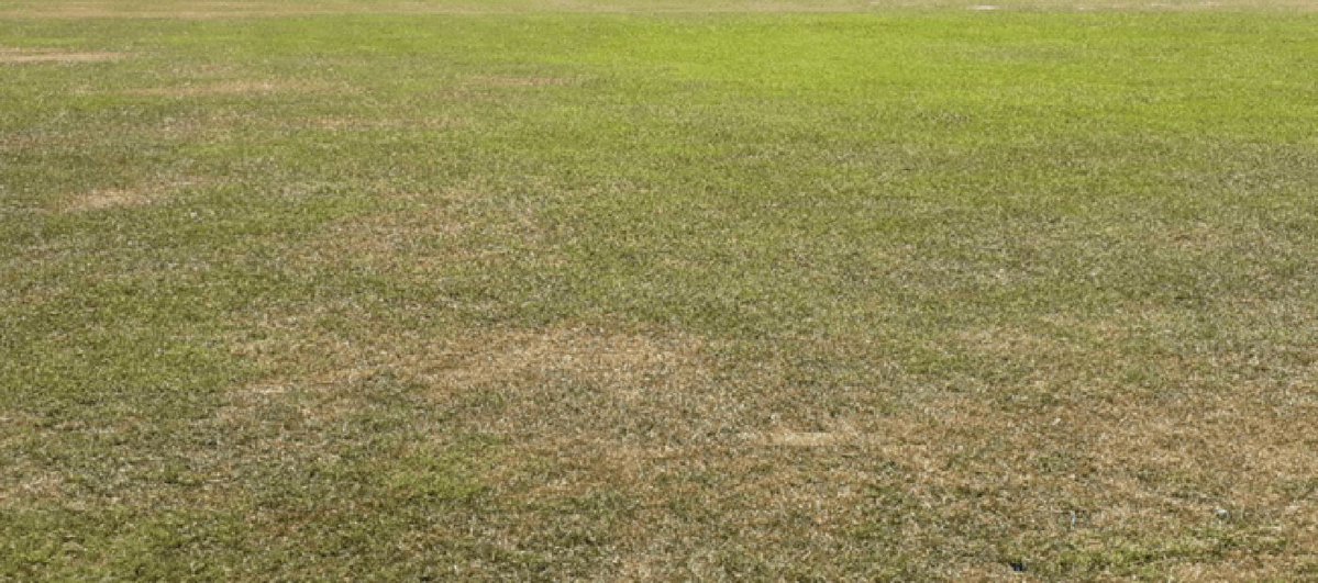 CambsFA's tweet photo. 𝗚𝗿𝗮𝘀𝘀 𝗣𝗶𝘁𝗰𝗵 𝗨𝘀𝗲 𝗗𝘂𝗿𝗶𝗻𝗴 𝗗𝗿𝗼𝘂𝗴𝗵𝘁 | The FA has published new guidance regarding the use of grass pitches during periods of drought, and in extremely dry conditions. Let's work together to keep everyone safe 👇️

https://t.co/Pjm14Js0Pf https://t.co/3v6L7srdFD
