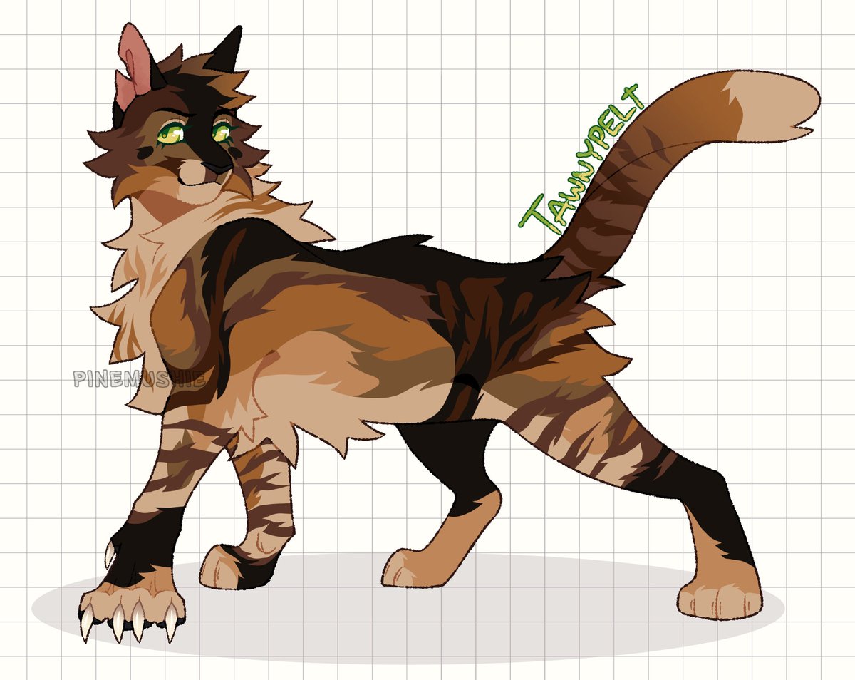 pinemushie's tweet photo. Tawnypelt redraw, 2 yr difference 🌲🍂

poll in 🧵 for next warrior cat !! https://t.co/nU2J4usUfr