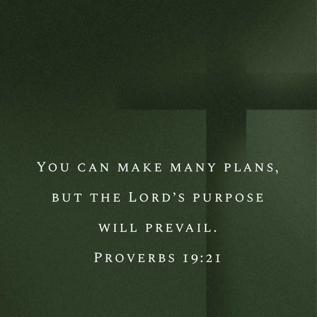 Scribbledscrips's tweet photo. https://t.co/LF91GYVLSi