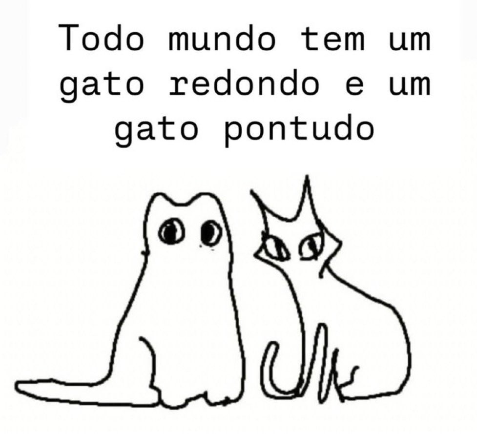 gatinarios's tweet photo. a regra é clara https://t.co/MhRLuNFNRp