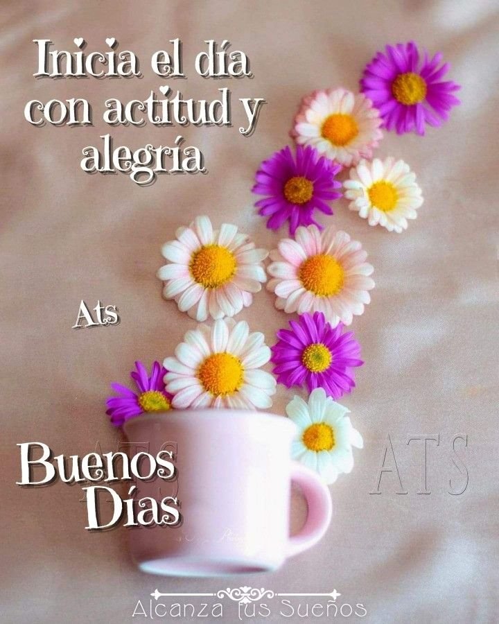 coquimf's tweet photo. @mauromonserrate Gracias  un maravilloso día https://t.co/GDFtRFLuac