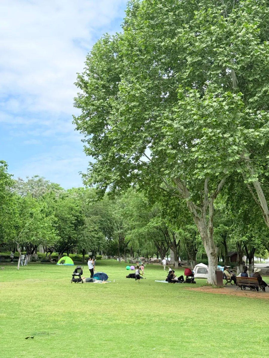 BethJo9's tweet photo. This Saturday, our community's outdoor book swap u0026 picnic kicks off at 2 PM! Bring pre-loved books to share, grab a free snack, and chat with neighbors. No sign-up needed—just come as you are! https://t.co/PA0Ve8lC0U
