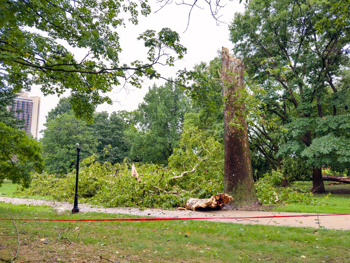 IllinoisStateU's tweet photo. The Illinois State campus is operating and continuing clean-up following yesterday’s storm. Numerous trees are down on the Quad, please avoid this area if possible. Much of the surrounding community remains without power. We recognize this is difficult for many students living off campus. For up-to-date information about community power outages, visit the Ameren Community Outage Map: https://t.co/BvpUmHTRzb

The Bone Student Center, Redbird Game Complex, Student Fitness Center, Milner Library, and dining centers are open today. Phone charger stations are available in the Bone Student Center.  As the temperatures warm up today and tomorrow, please be reminded that on-campus spaces are air-conditioned and available to students during regular business hours.

For students moving into residence halls, Move-In is underway. Staff and volunteers are ready to assist. For students who missed their appointment time on Thursday, August 13, you may arrive any time today; no appointment is needed. Questions regarding Move-In should be directed to University Housing Services at (309) 438-8611.  Housing is located in the Office of Residential Life building (ORL) and will be open over the weekend, 8 a.m. - 4:30 p.m., Saturday and Sunday.  If you are currently in an on-campus residence hall or apartment and need assistance with building-related questions, please contact your residence hall front desk:

• Watterson Towers: (309) 438-0249
• Hewett-Manchester/Fell-School Street Apartments: (309) 438-4519
• Haynie Hall: (309) 438-4517
• Wilkins Hall: (309) 438-1639
• Wright Hall: (309) 438-4429
• Cardinal Court: (309) 438-6008