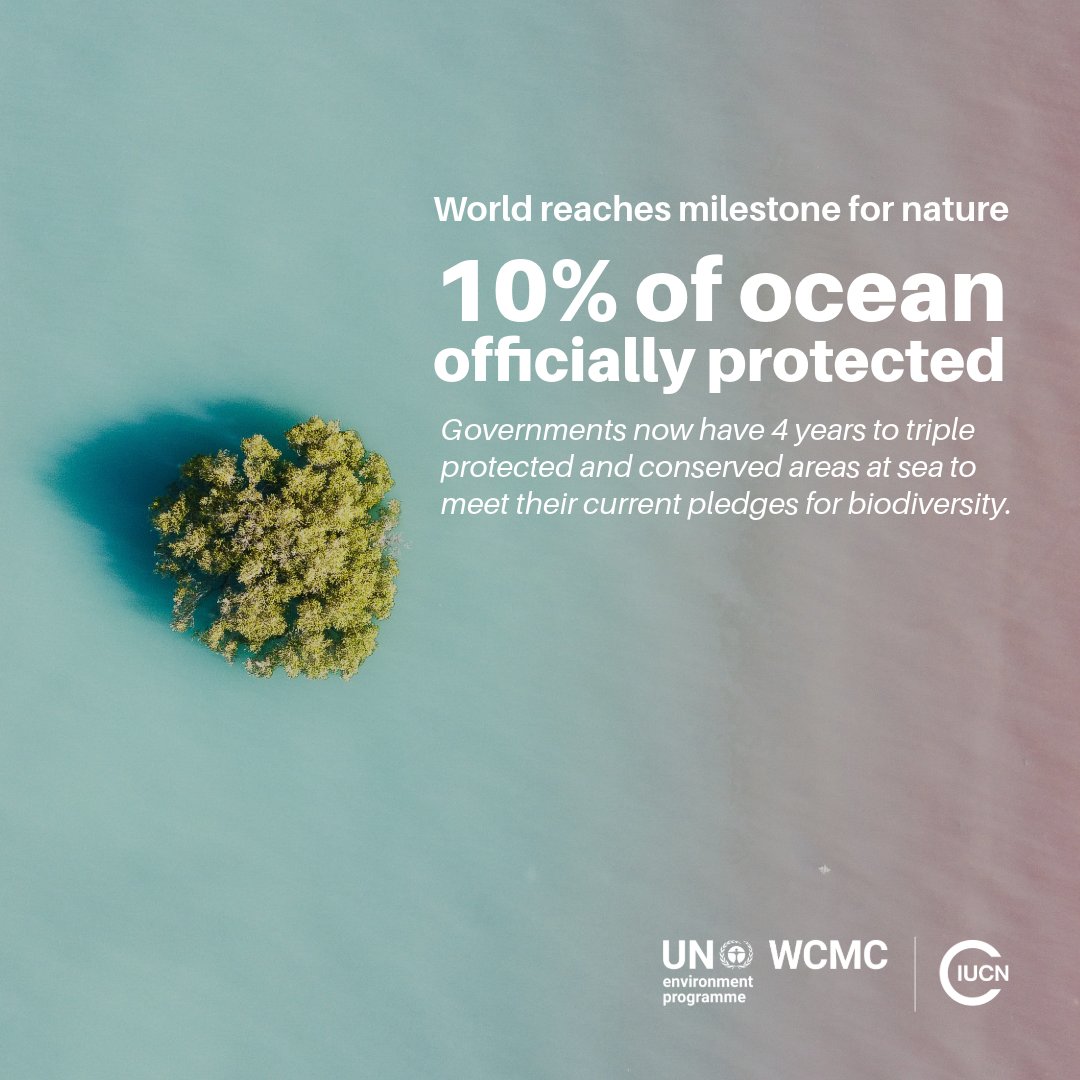 IUCN's tweet photo. The world has reached an important milestone: 10% of the ocean is now protected.

In just two years, countries have added 5 million km² of protected ocean. That’s real progress. But this isn’t the finish line …

The next challenge isn’t just protecting more ocean - it’s protecting it well.

https://t.co/mvqHCCVrHK

@protectedplanet @unepwcmc