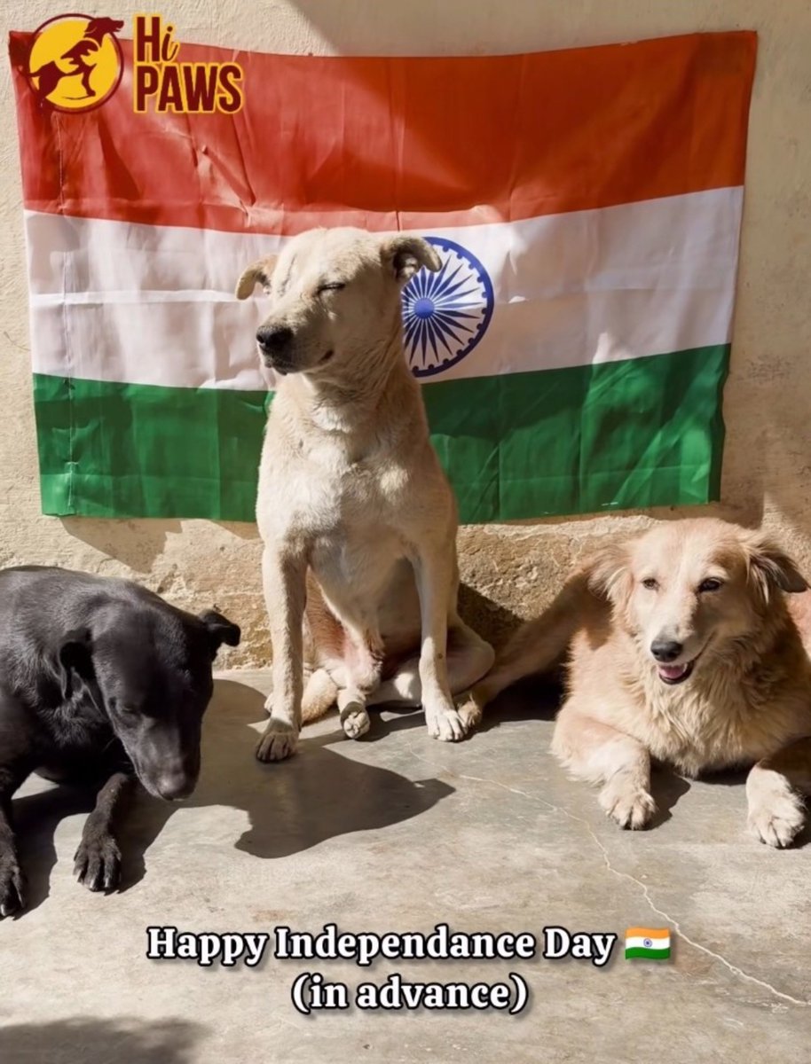 joedelhi's tweet photo. As India celebrates 80 years of independence in 2026, street animals face starvation and severe dehydration. 

True independence is about giving freedom to all living beings too.
#IndependenceDay #FreedomForAll #AzadiForAnimals https://t.co/k6TLFytXu6